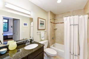 full bathroom with large tub, mirror, and granite vanity