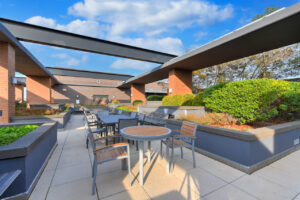Outdoor Rooftop dining area, bistro tables, long dining table, bushes planted alongside tables, photo taken on a sunny day.